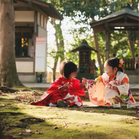 自然光が幻想的な写真